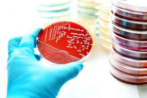 Kosmetik Mikrobiologie Qualitätskontrolle